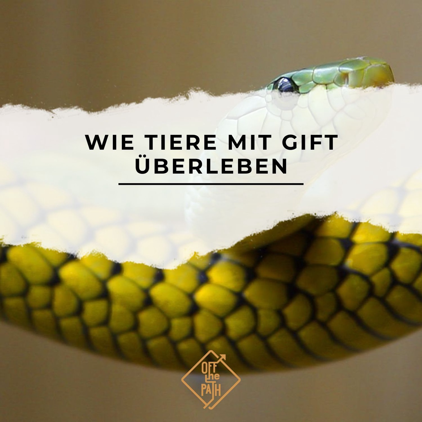 Wie Tiere mit Gift überleben