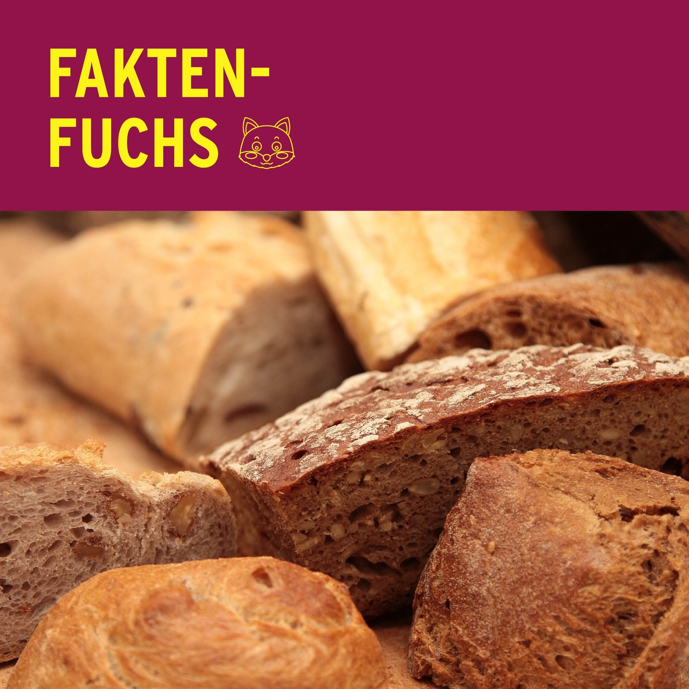 Faktenfuchs: Brot