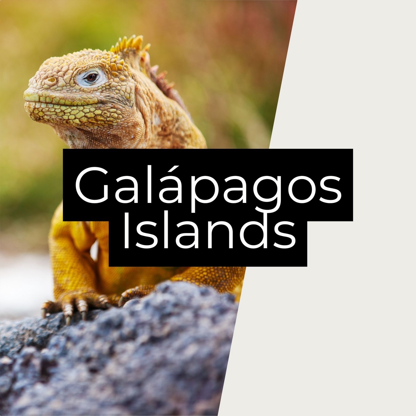Galápagos Islands: Evolution’s Museum — or Conservation’s Dilemma?