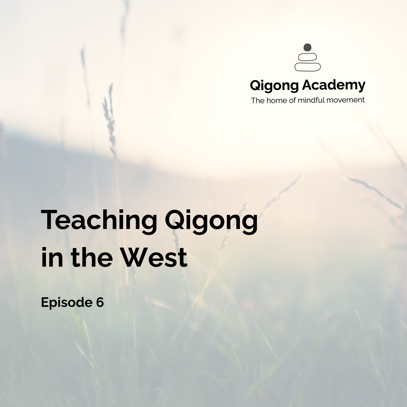 Episode 6 - Teaching Qigong in the West