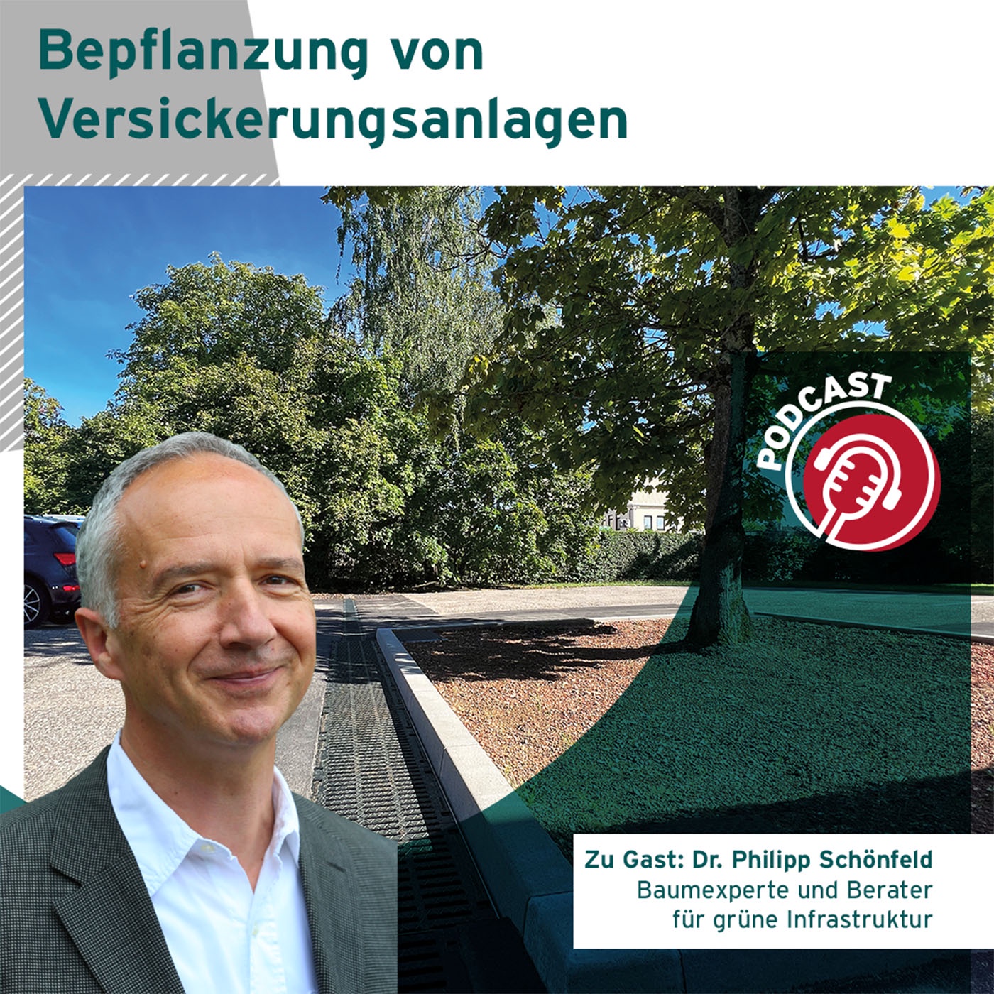 Bepflanzung von Versickerungsanlagen - Tipps vom Experten Dr. Philipp Schönfeld