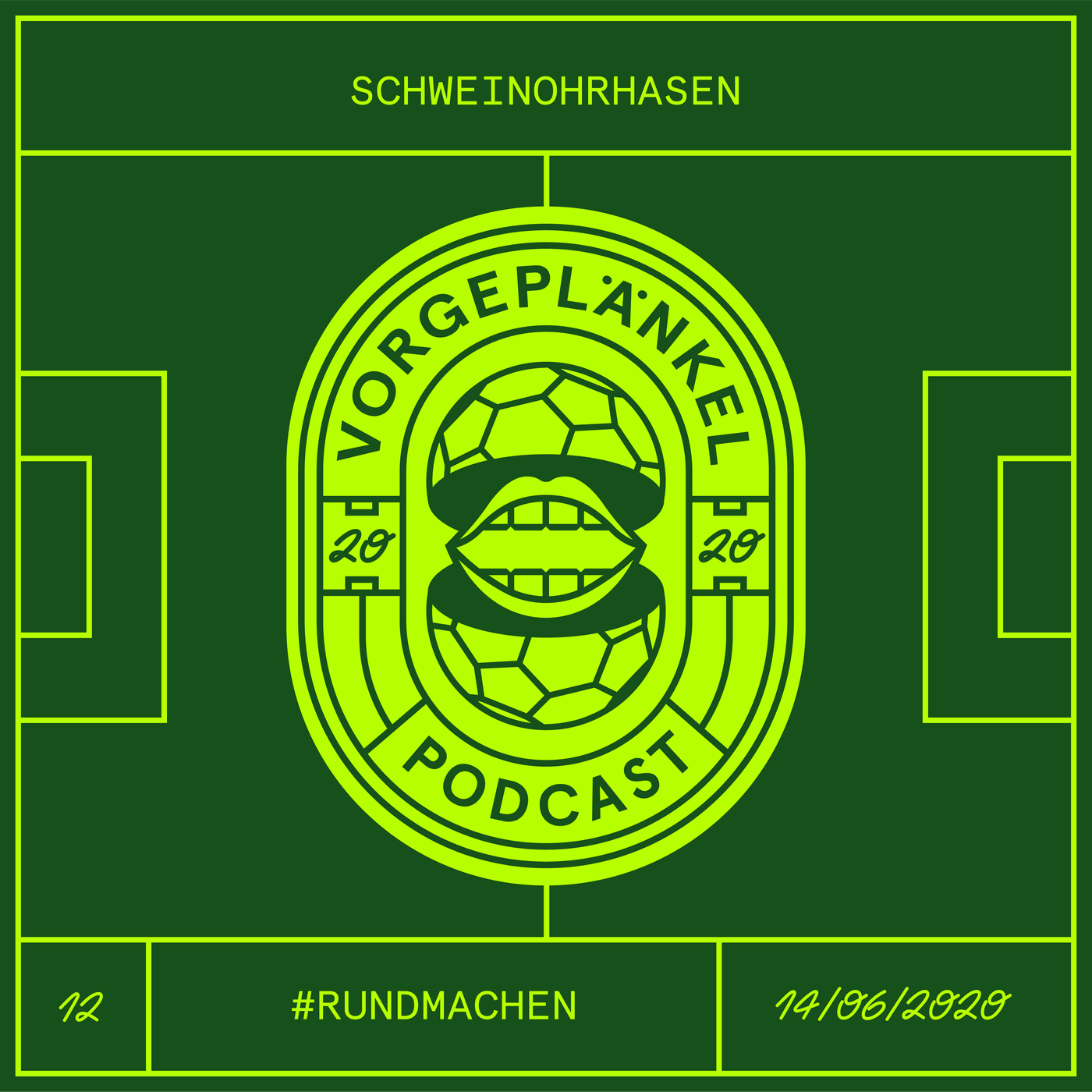 12 - Schweinohrhasen