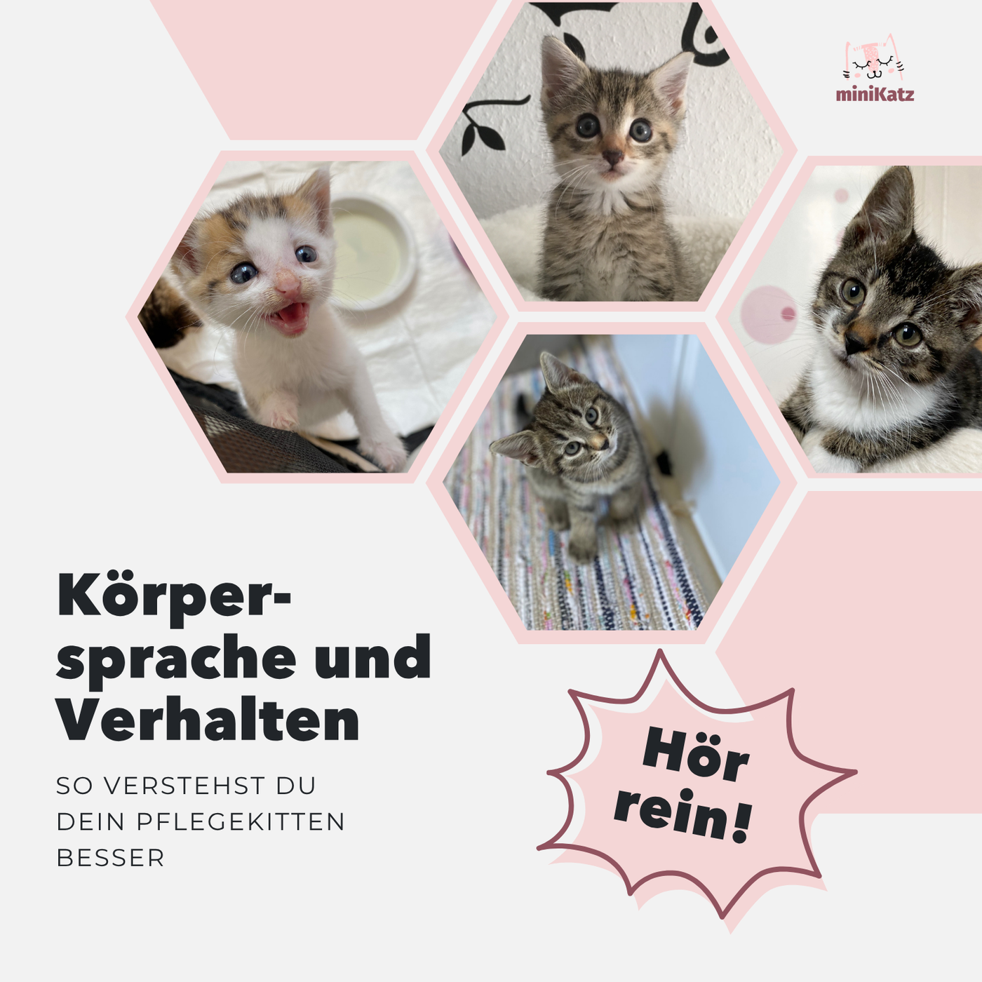 Körpersprache und Verhalten
