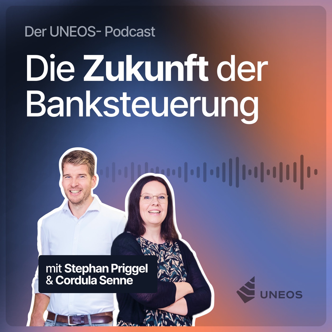 Die Zukunft der Banksteuerung - Der UNEOS-Podcast