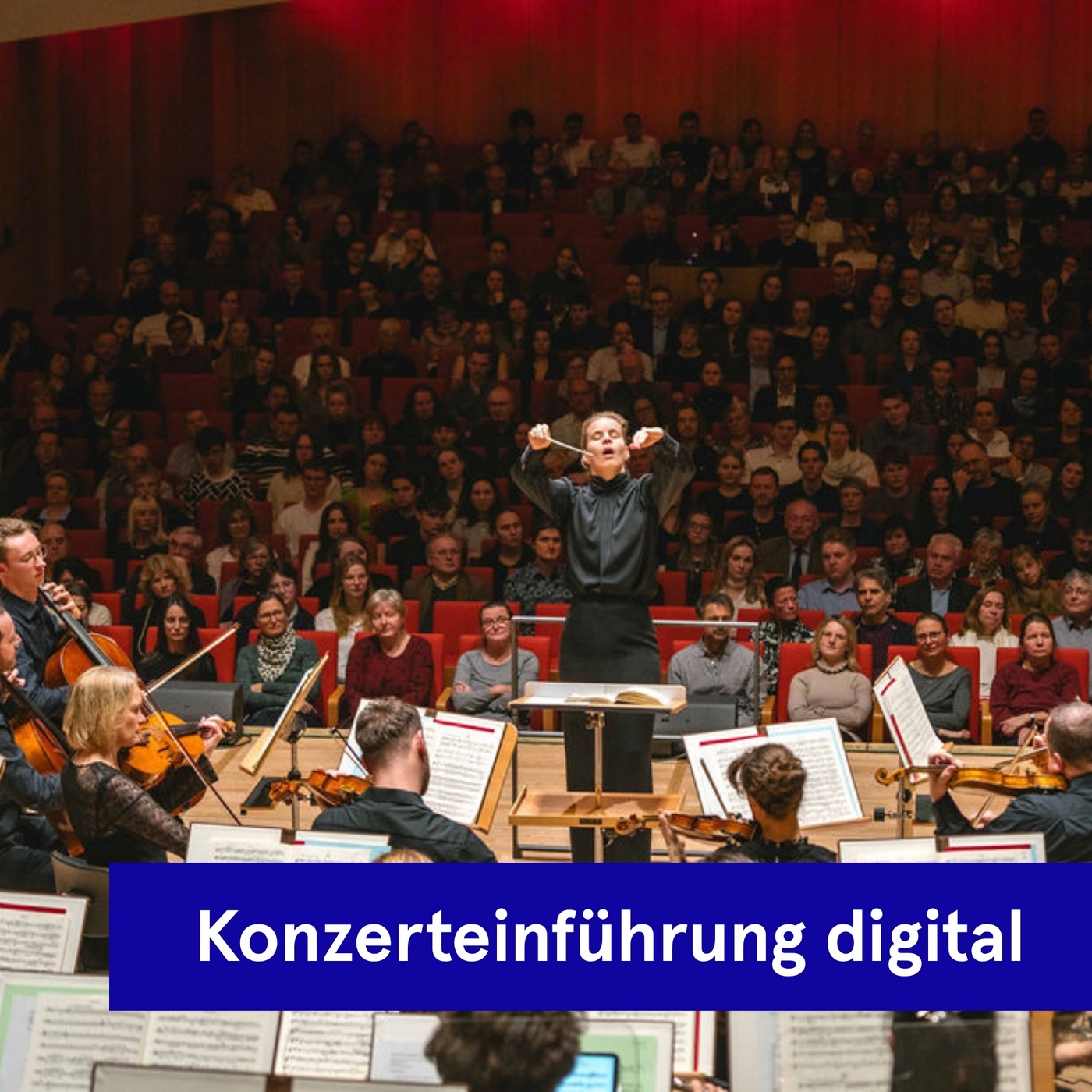 Digitale Konzerteinführung | Schubert - Vogler - Dresdner Philharmonie - Berglund