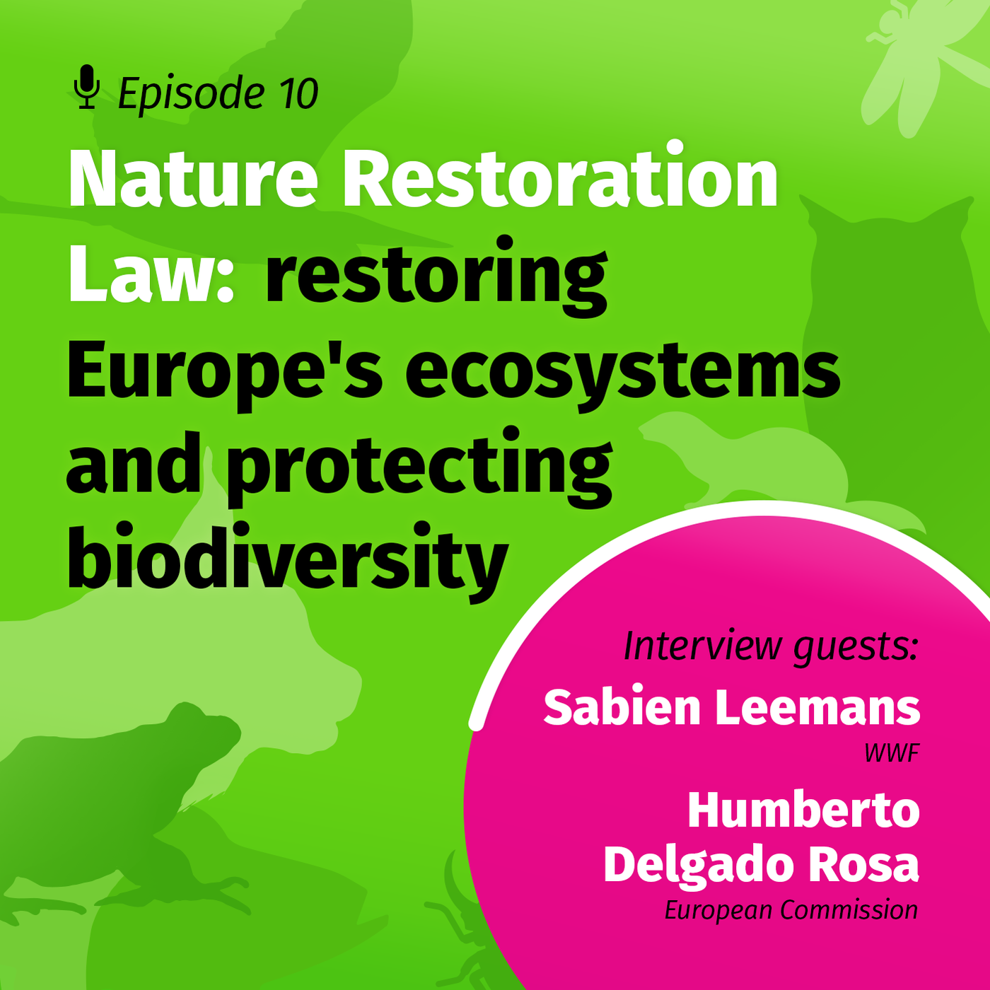 Nature Restoration Law: restoring Europe's ecosystems & protecting biodiversity