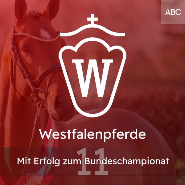 Mit Erfolg zum Bundeschampionat