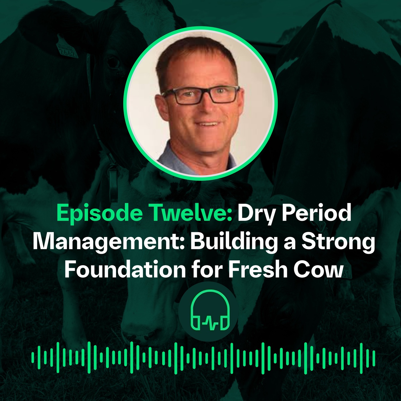 Dry Period Management: Building a Strong Foundation || Gestion de la période de tarissement : Établir un une base solide