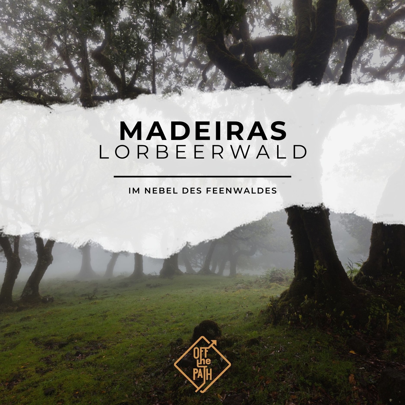 Im Nebel des Feenwaldes: Madeiras mystischer Lorbeerwald