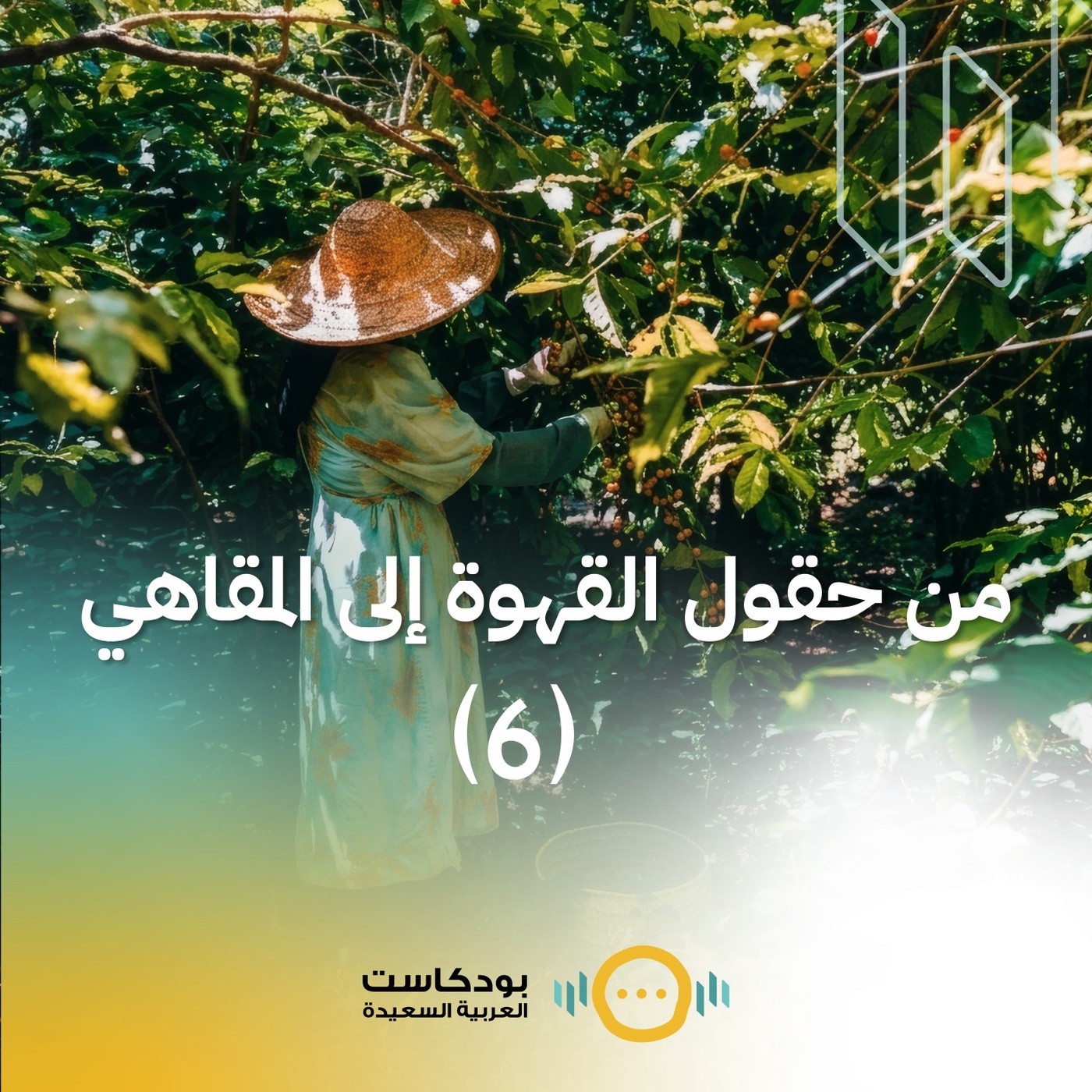 تشويقية: من حقول القهوة إلى المقاهي