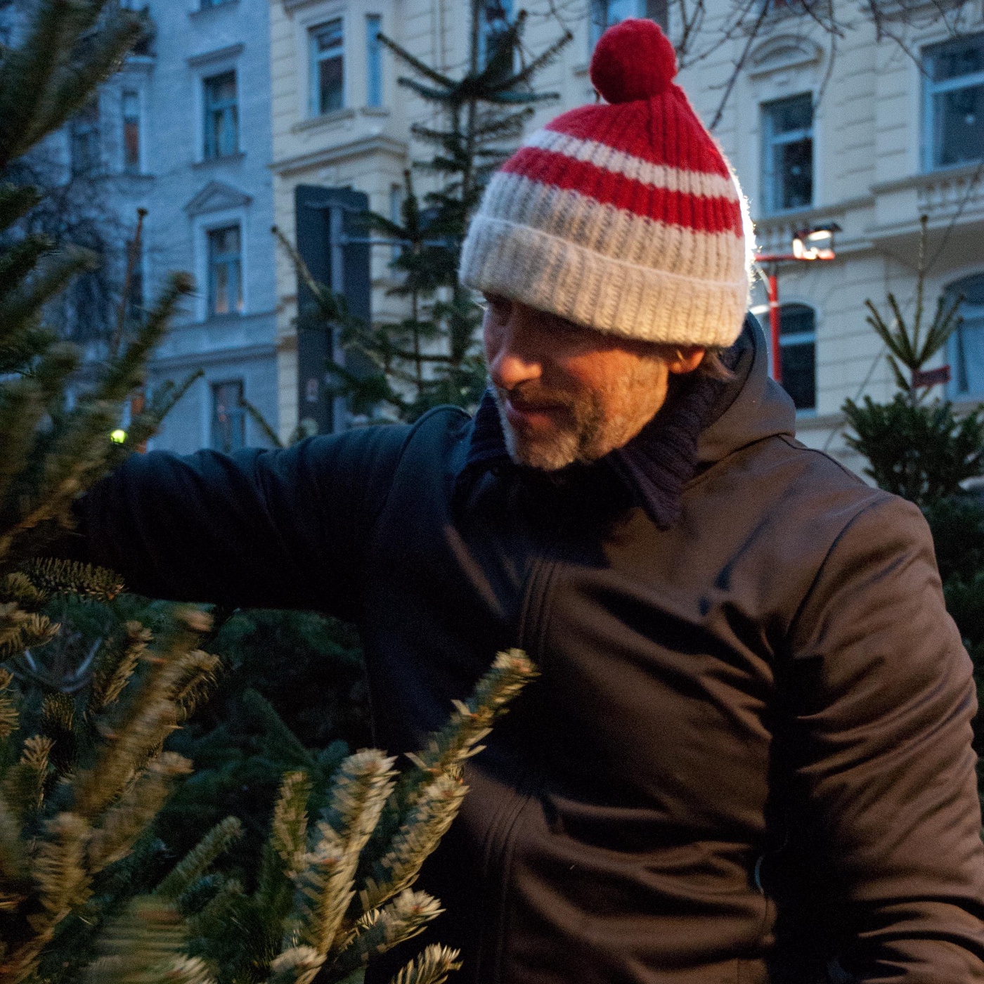 Warum denn Bio-Weihnachtsbäume?