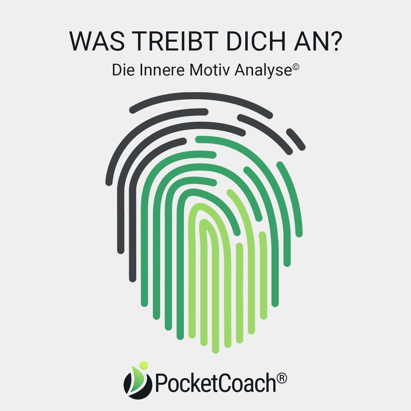 Die Innere Motiv Analyse - Was treibt dich an?