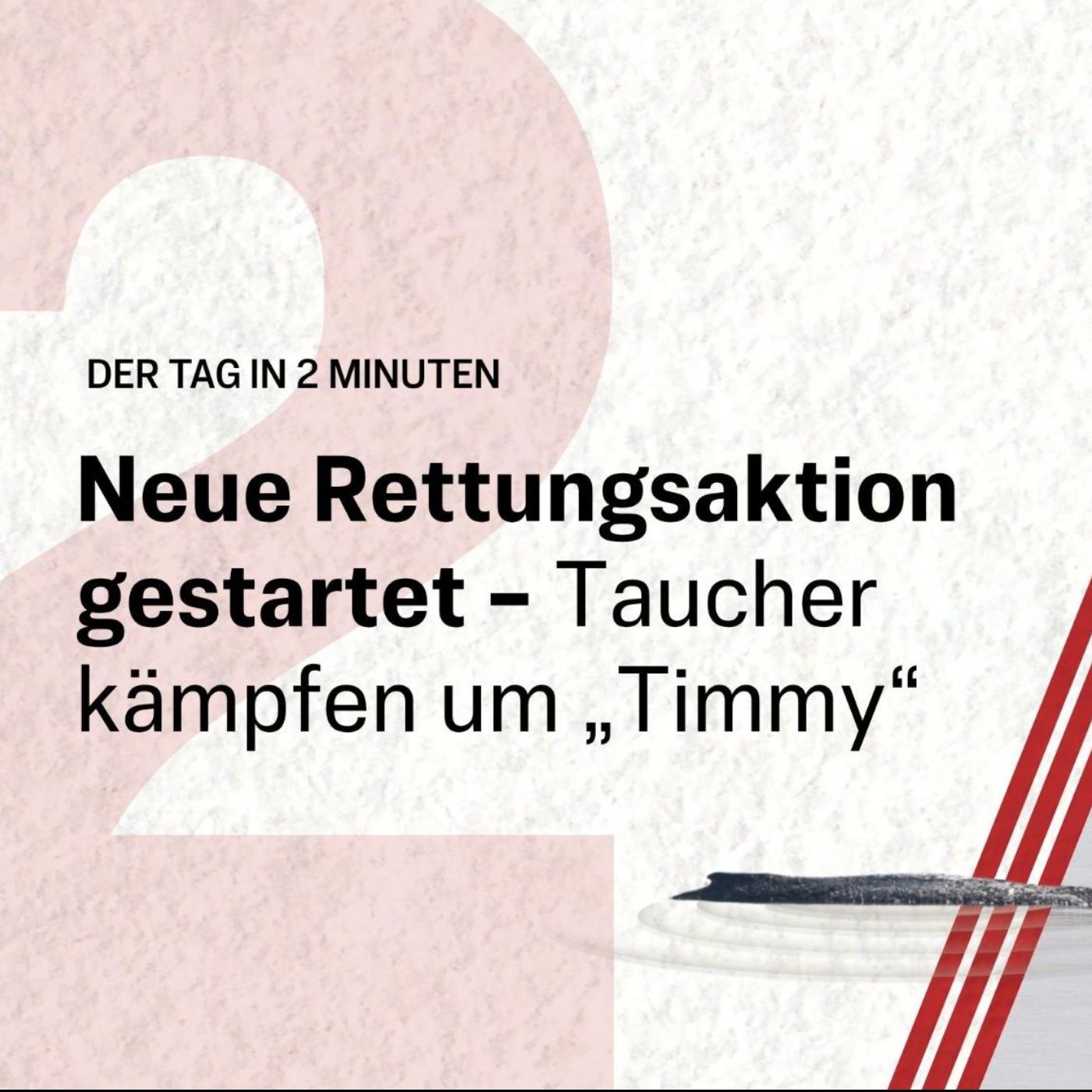 Letzter Rettungsversuch für gestrandeten Wal „Timmy“ läuft | Der Tag in 2 Minuten
