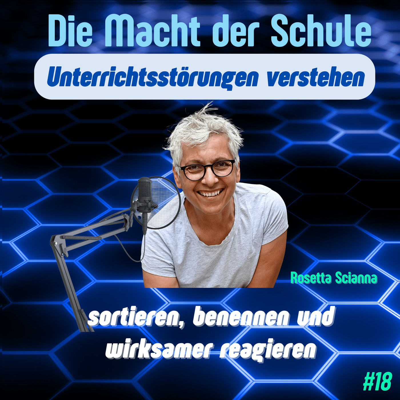 Unterrichtsstörungen verstehen - sortieren, benennen und wirksamer reagieren