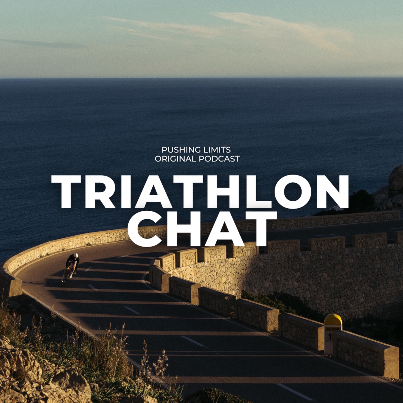 #132 Triathlon-Chat: Kein Espresso Martini in der Happy Hour!!