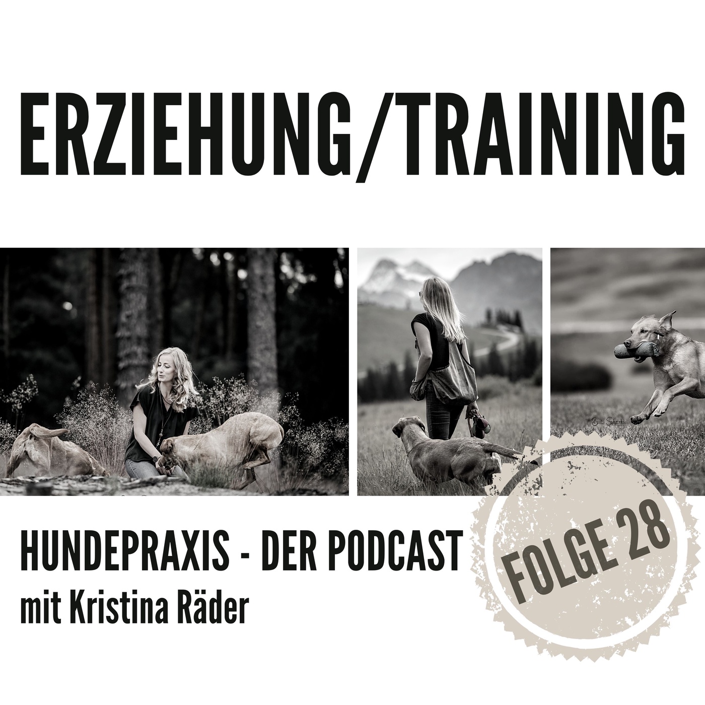 Erziehung vs. Training