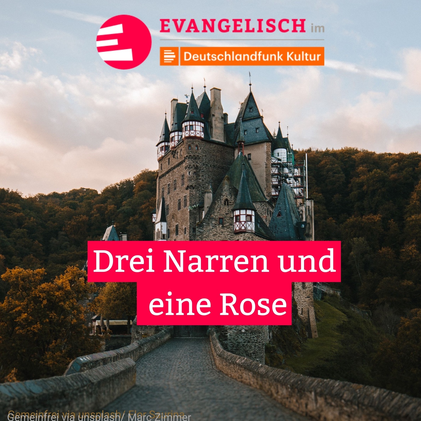 Drei Narren und eine Rose