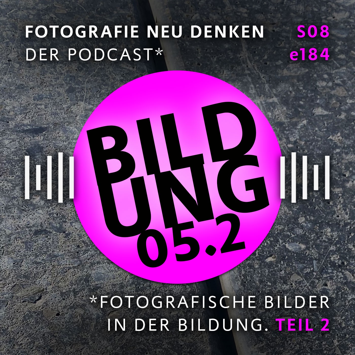 e184 Fotografische Bilder in der Bildung. Teil 2