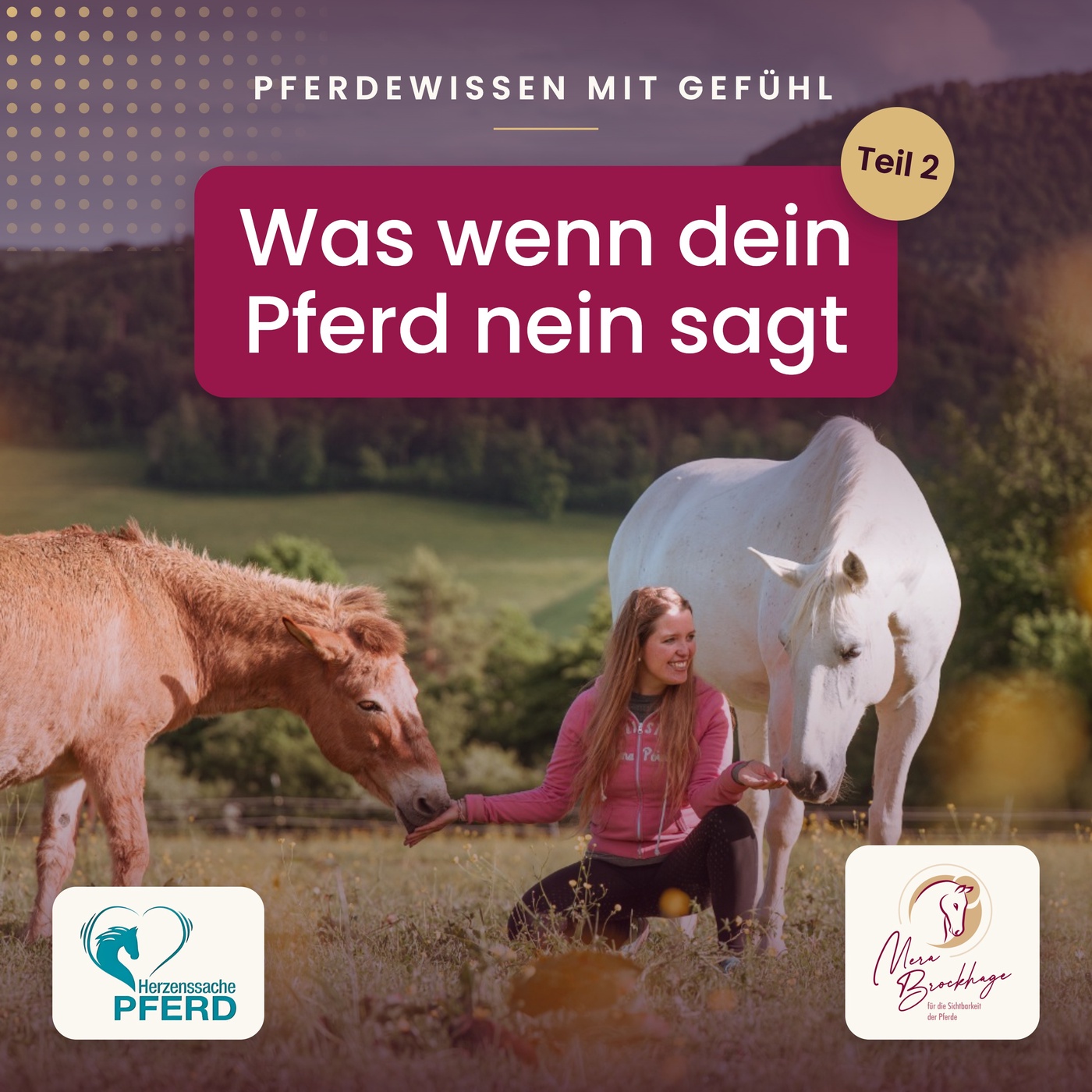 Mini-Podcast: Das Nein des Pferdes, Fallbeispiel 1: Das vorsorgliche Nein