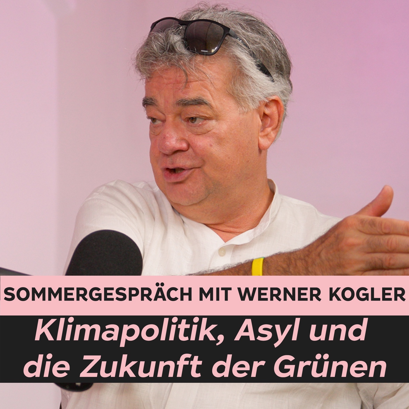 Sommergespräch mit Vizekanzler Werner Kogler: Klimapolitik, Asyl und die Zukunft der Grünen