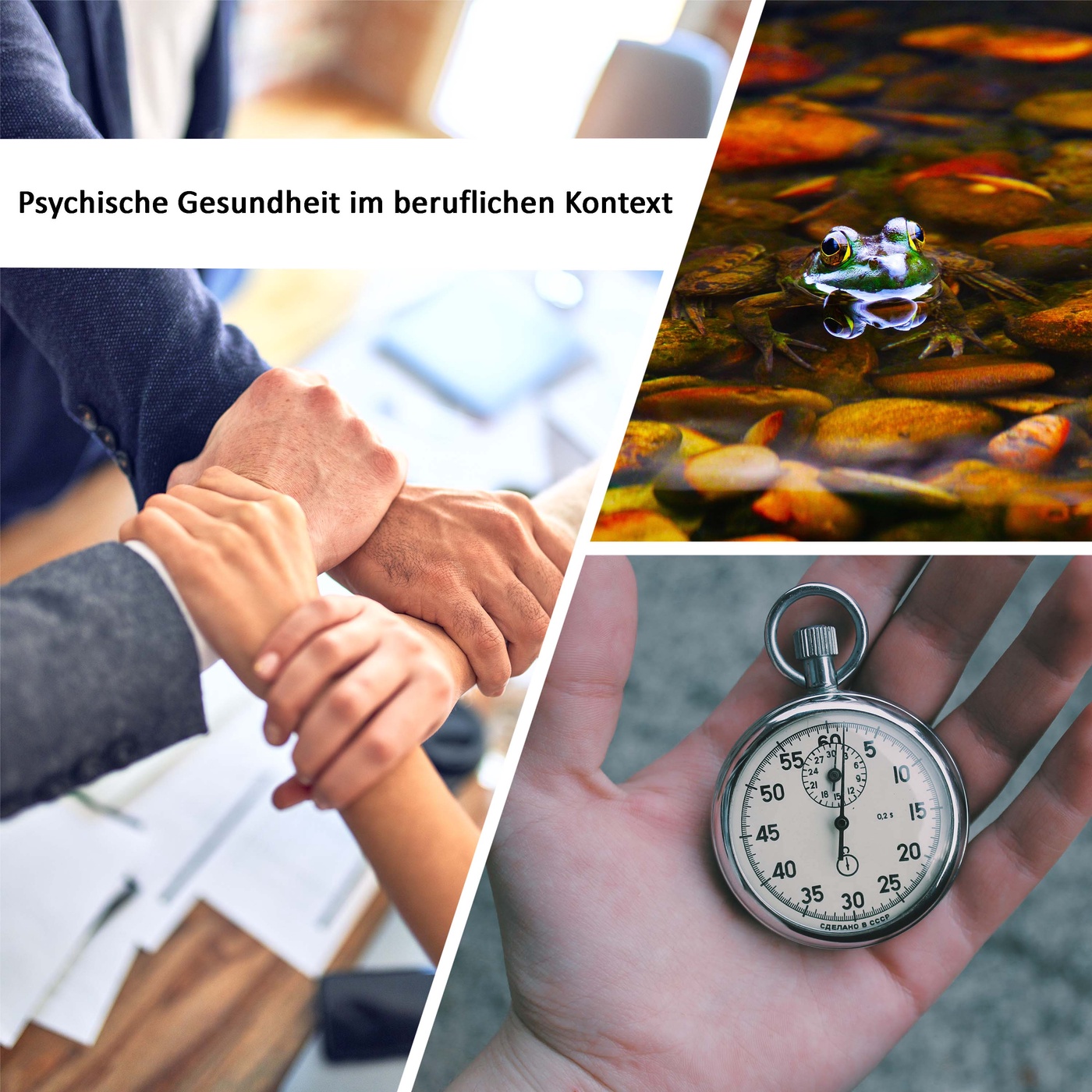 Psychische Gesundheit im beruflichen Kontext - These 2