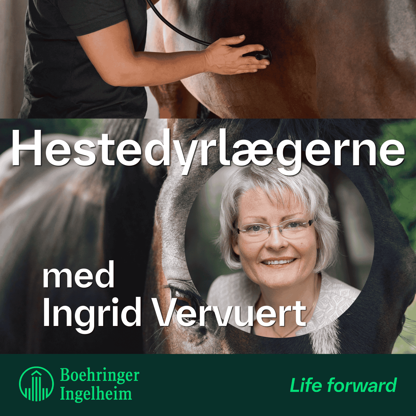 Klinisk ernæring med Ingrid Vervuert, afsnit 2 - Mineraler, vitaminer og elektrolytter