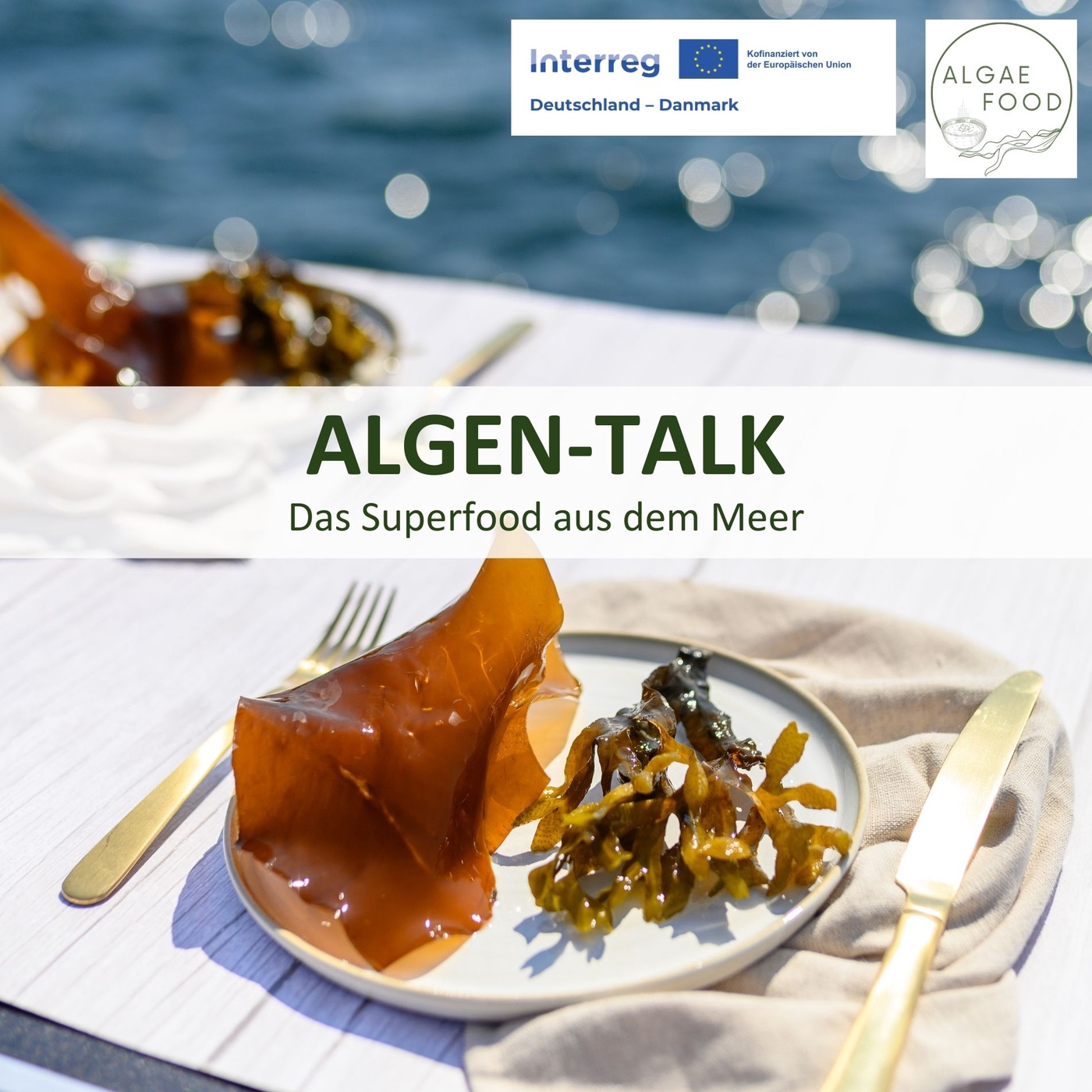 ALGEN-TALK - Das Superfood aus dem Meer