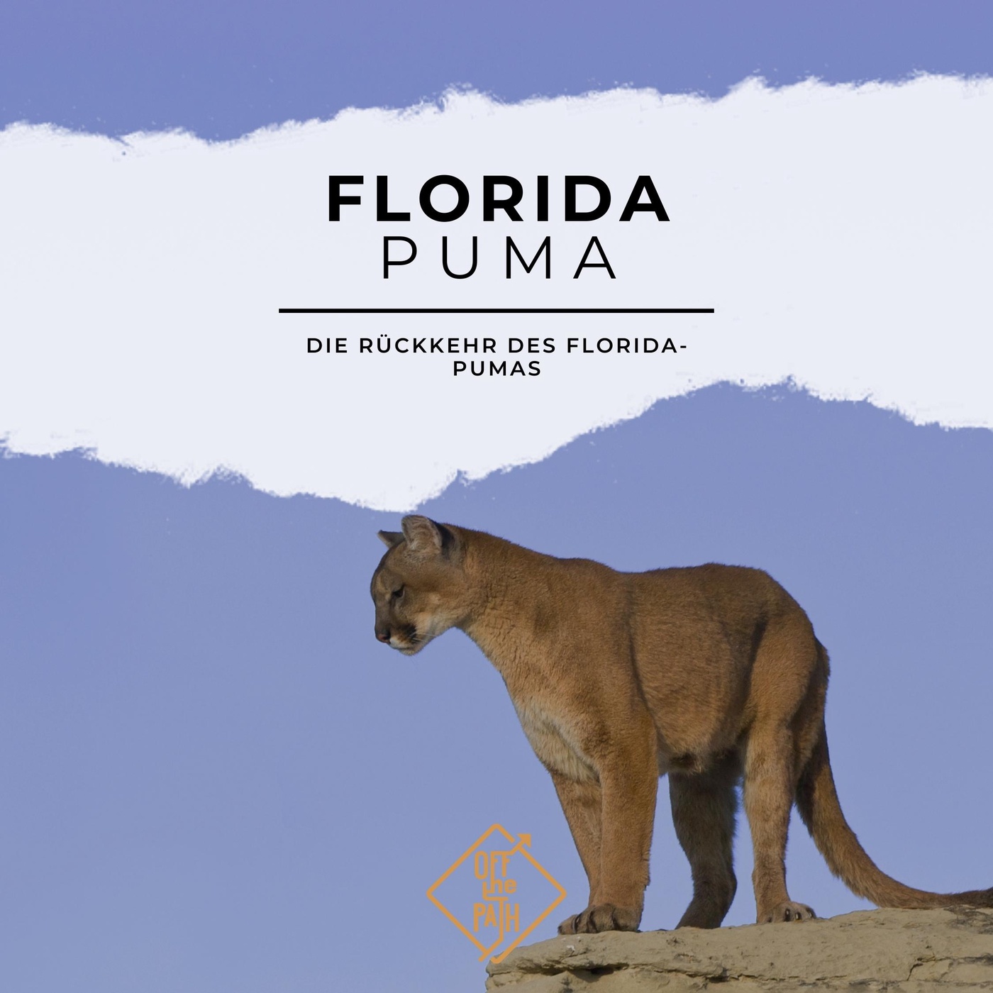 Die Rückkehr des Florida-Pumas