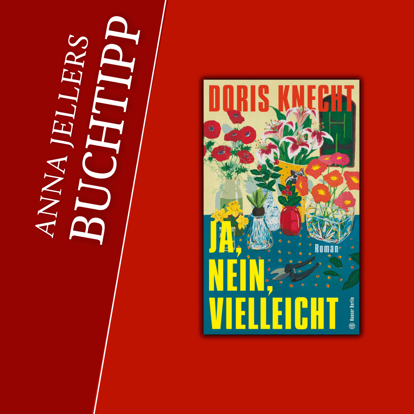 Anna Jellers Buchtipp | Doris Knecht: Ja, nein, vielleicht