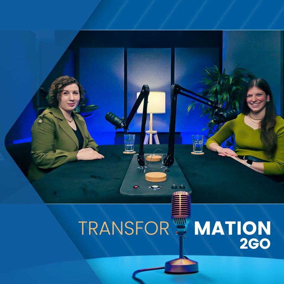 Projektleitung & PMO: Das unsichtbare Erfolgsduo jeder Transformation