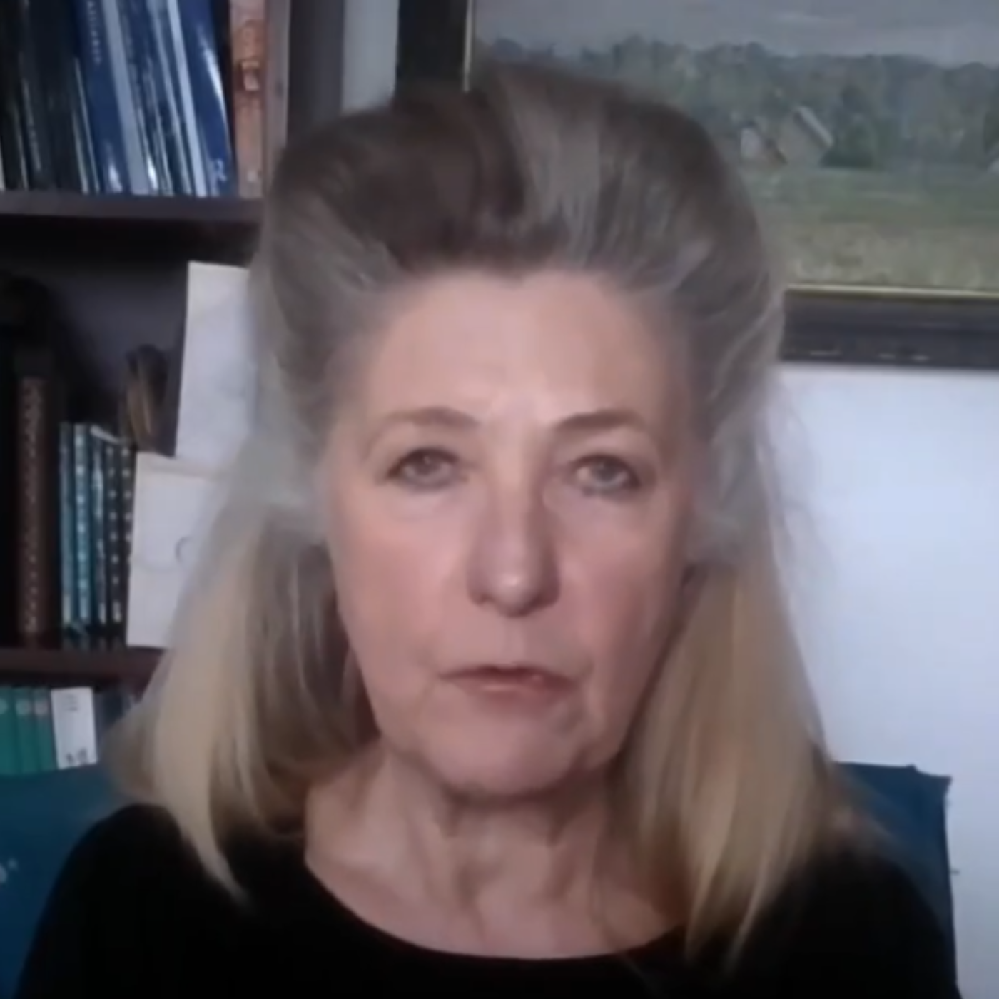 Interview Dr. Gerlinde Niehus: Europäische Gesamtverteidigung gegen russische hybride & militärische Aggression