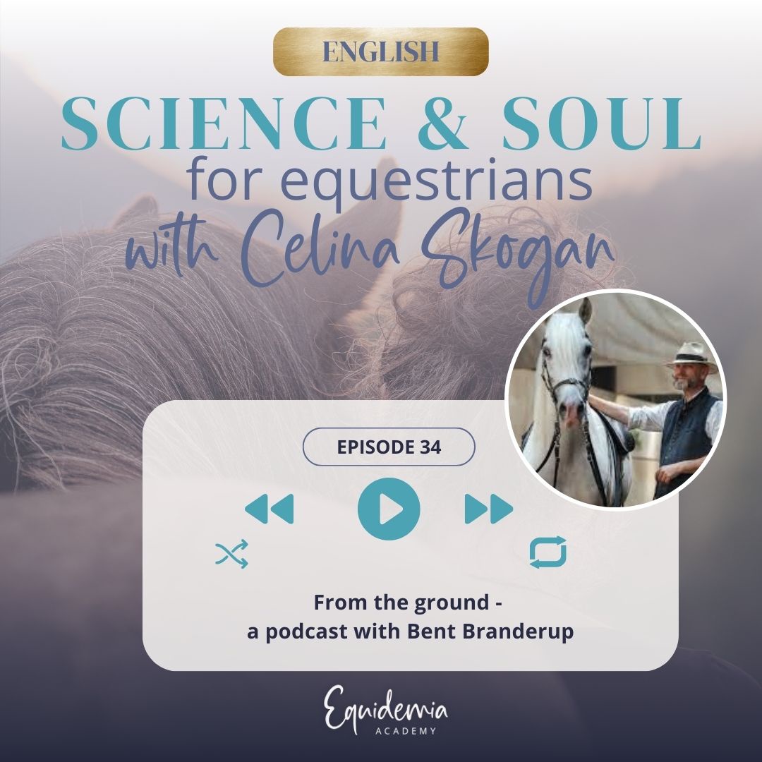 From the ground - a podcast with Bent Branderup