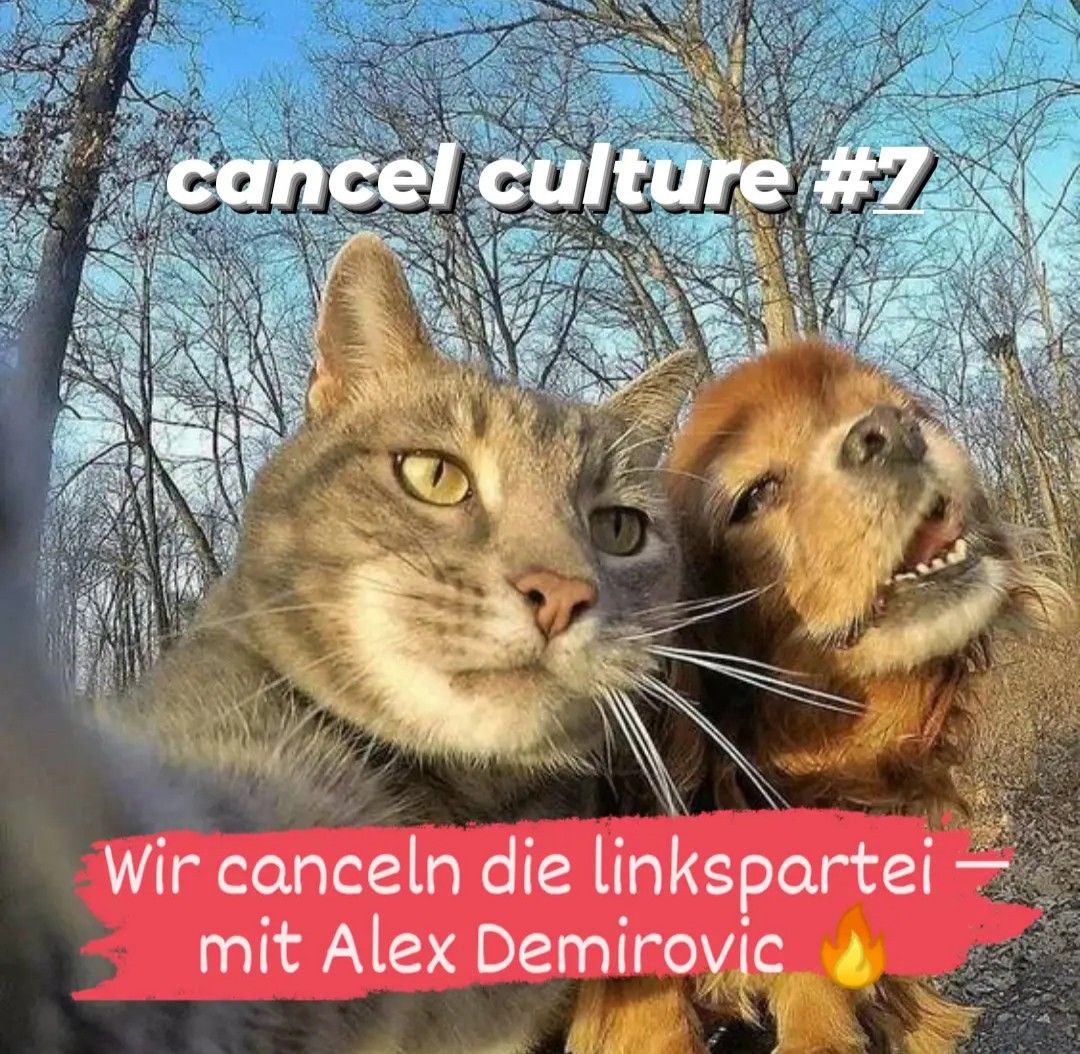 Cancel Culture #7: Wir canceln die Linkspartei - mit Alex Demirović