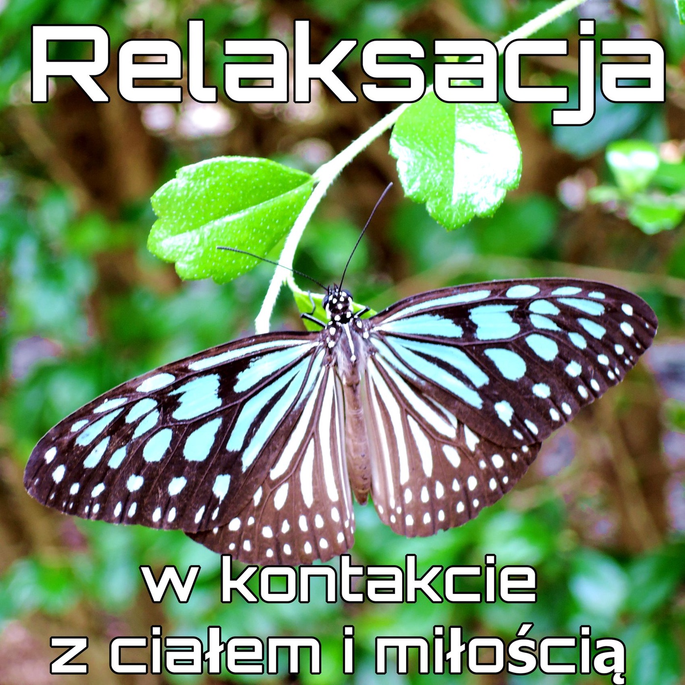 S01E04. RELAKSACJA w kontakcie z ciałem i miłością