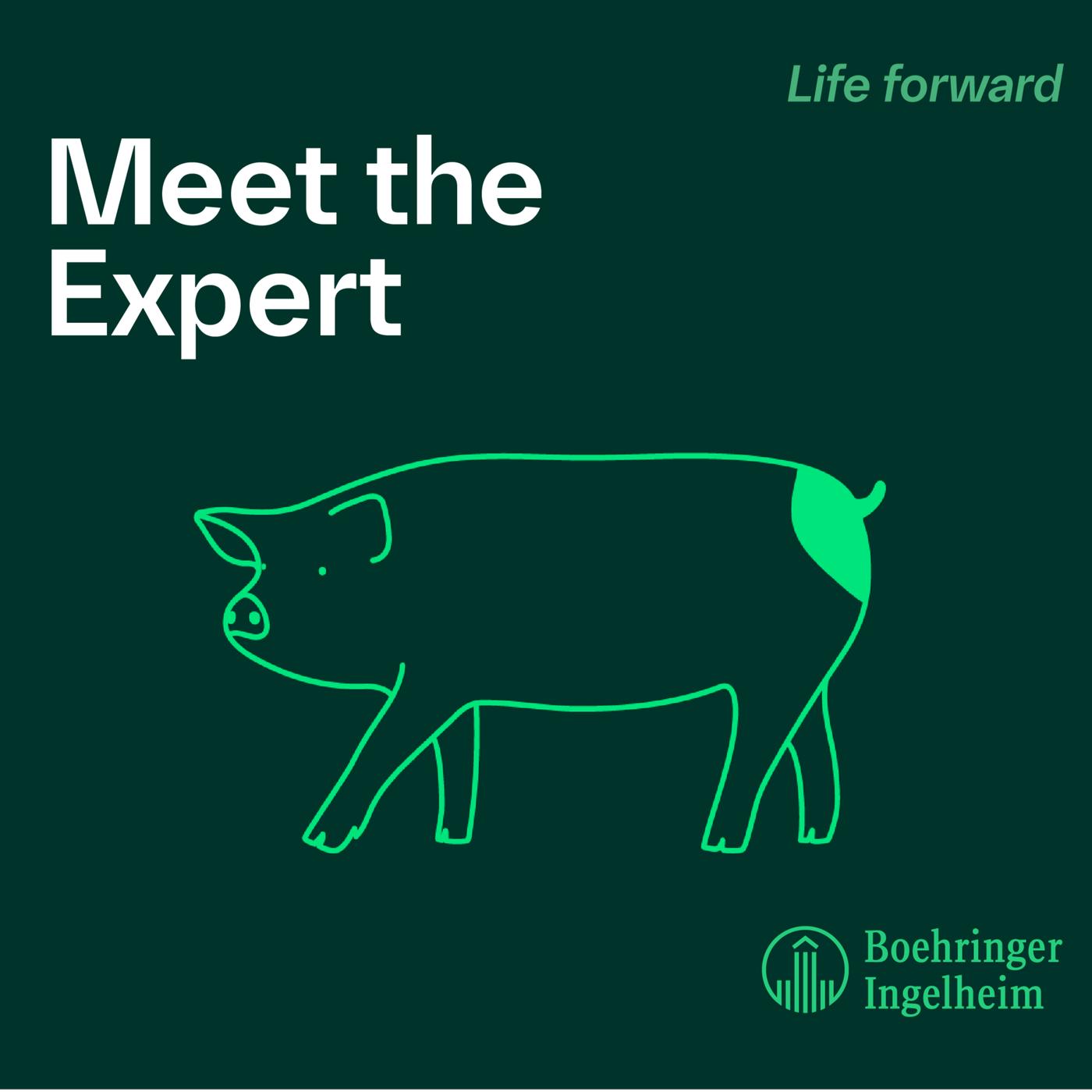 Meet the Expert