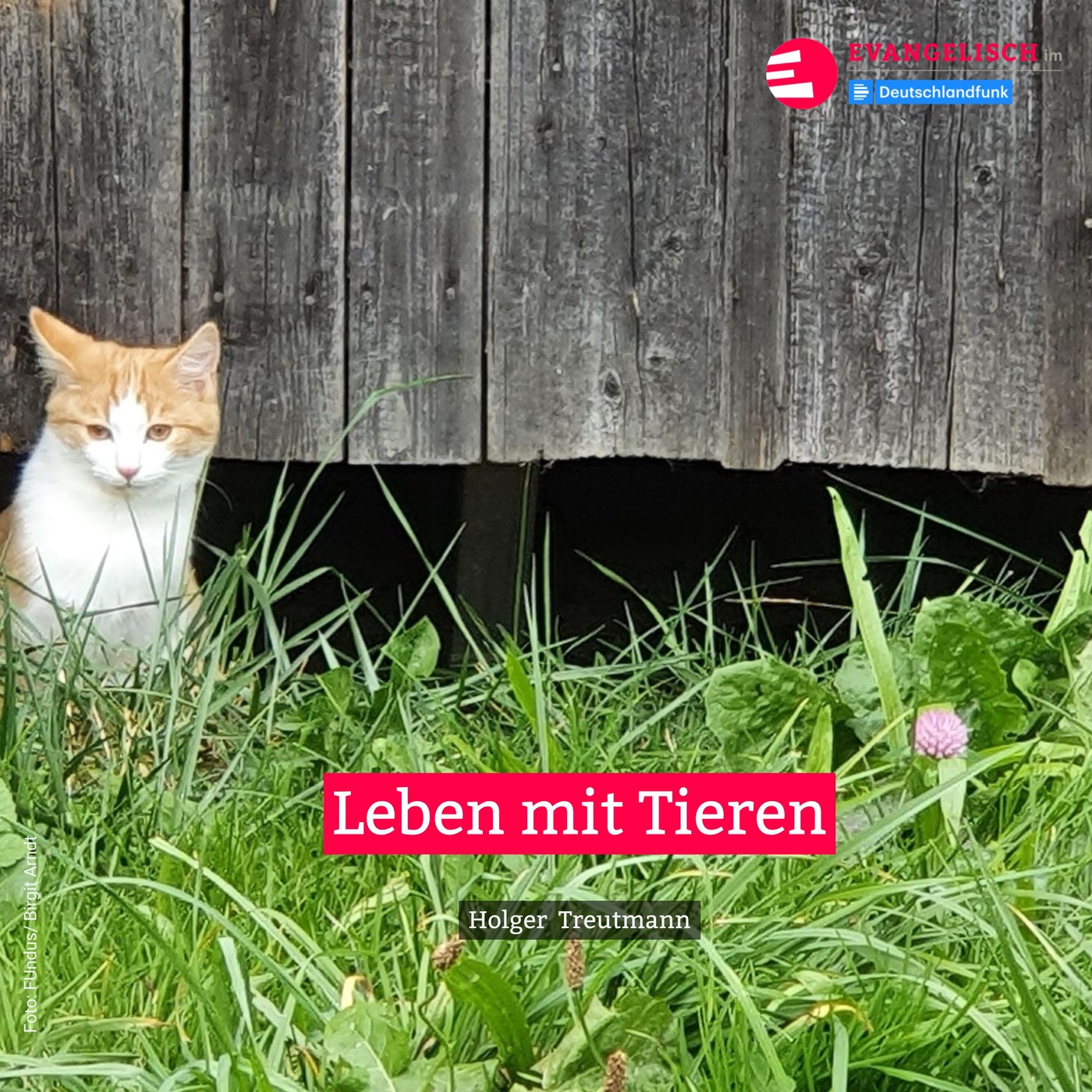 Leben mit einem Tier