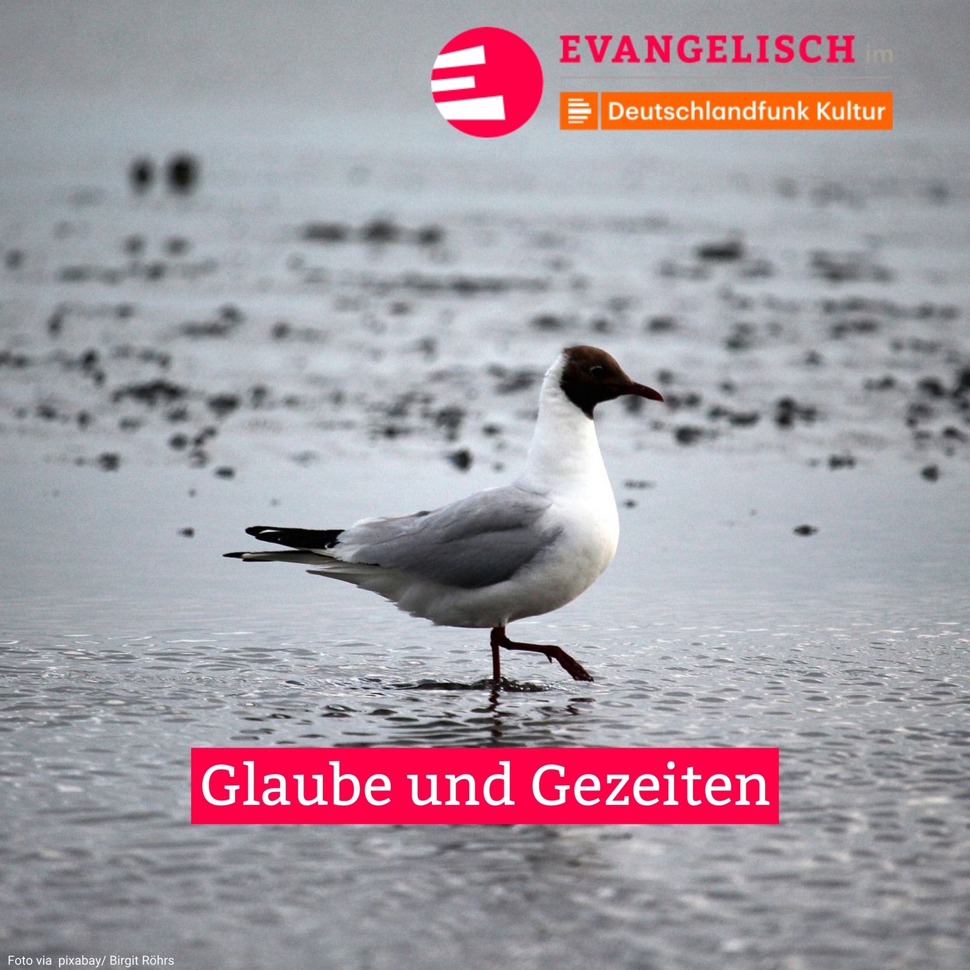 Glaube und Gezeiten