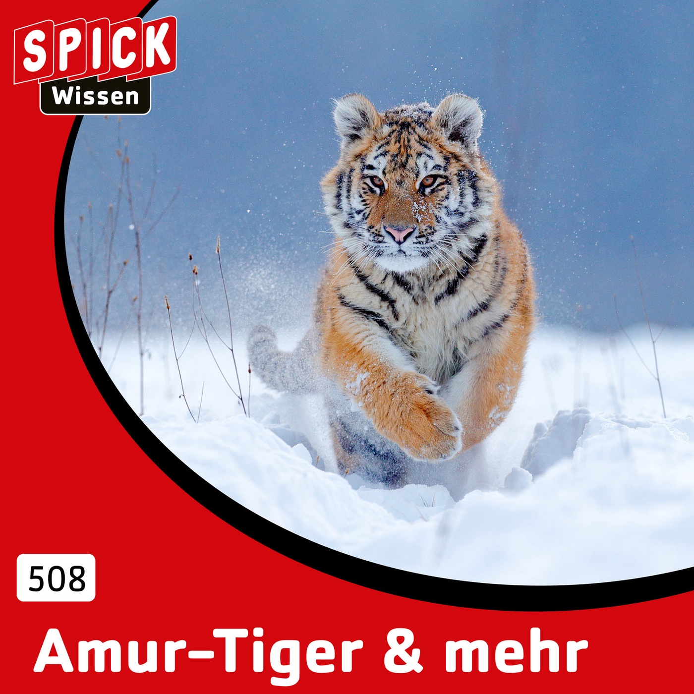 Tiger und mehr