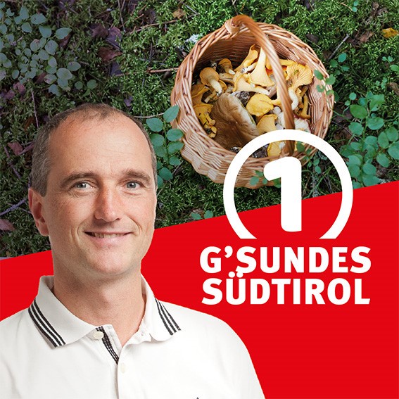 Pilze von gesund bis gefährlich