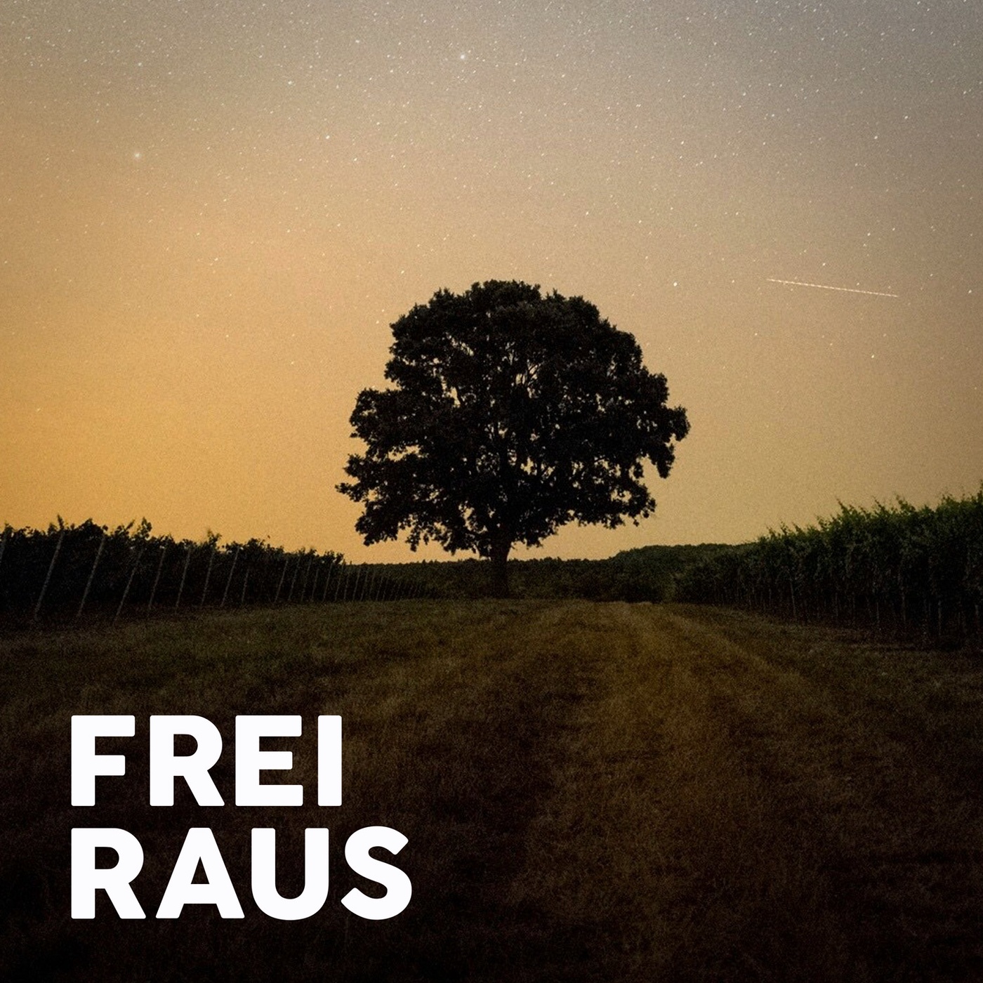 Comeback der Sommer-Vibes und nochmal rauf auf den Baum