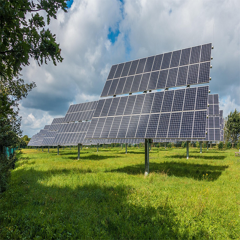 Solarstrom führt in der EU | Solarthermie-Anlage fertig | Früherkennung von MS | Hamburg entsiegelt | Katzen hören zu