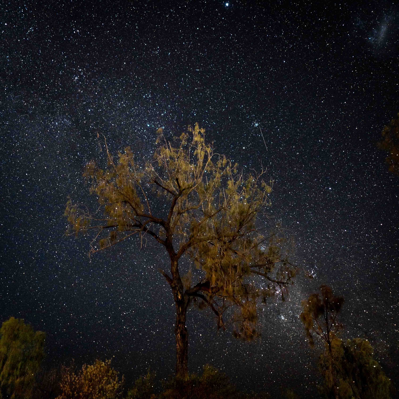 #2 Doc aus Las Vegas am Ayers Rock