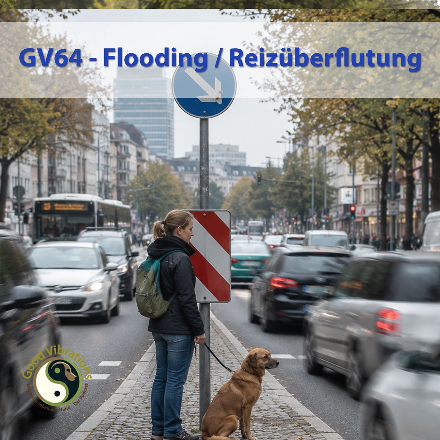 GV 64_Flooding