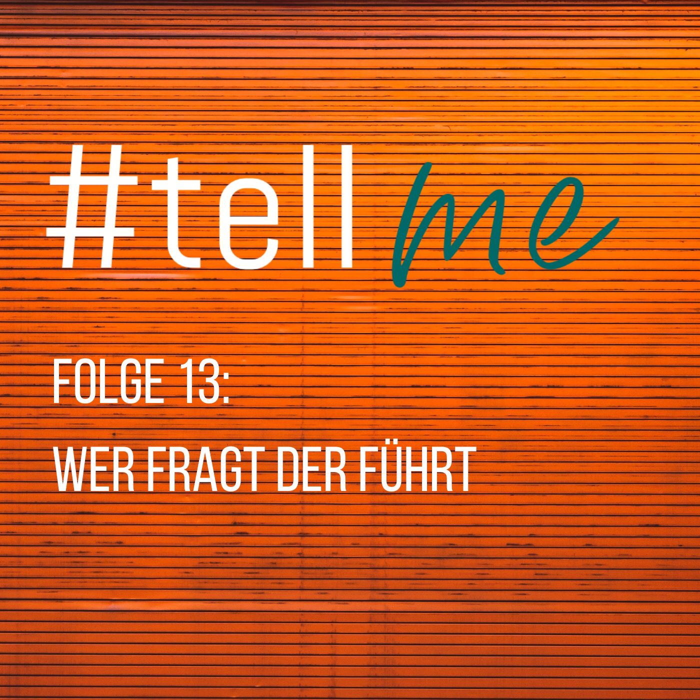 13_Wer fragt der führt