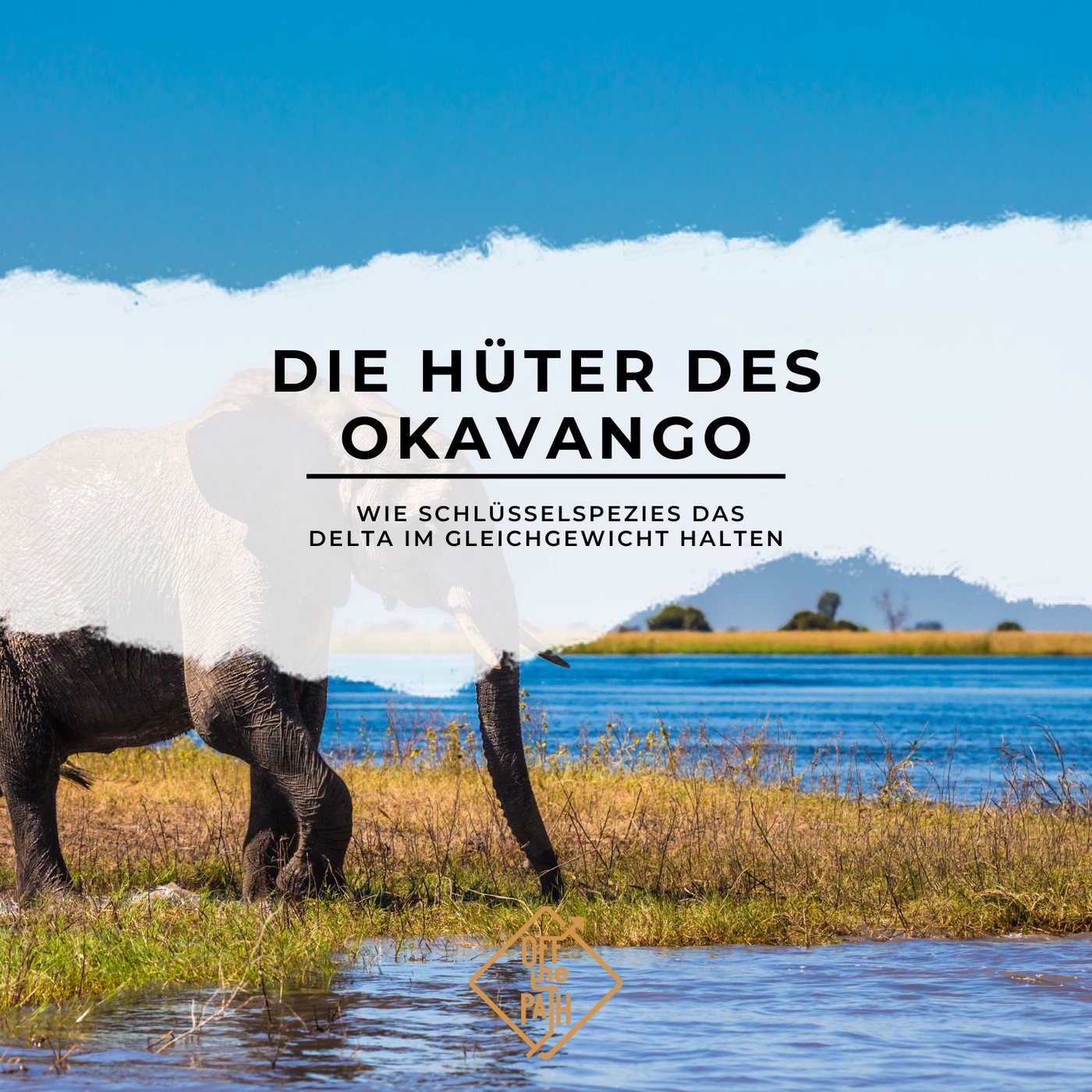 Die Hüter des Okavango: Wie Schlüsselspezies das Delta im Gleichgewicht halten