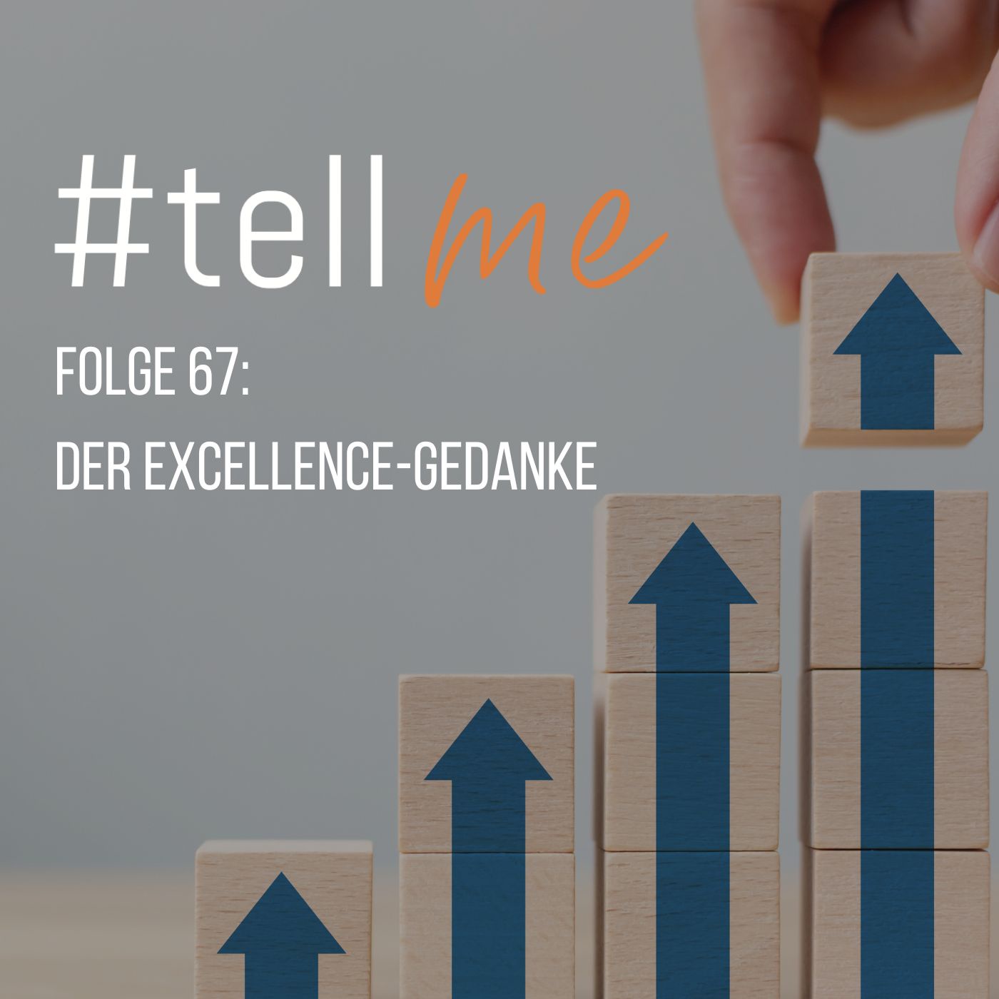 67_Der Excellence-Gedanke