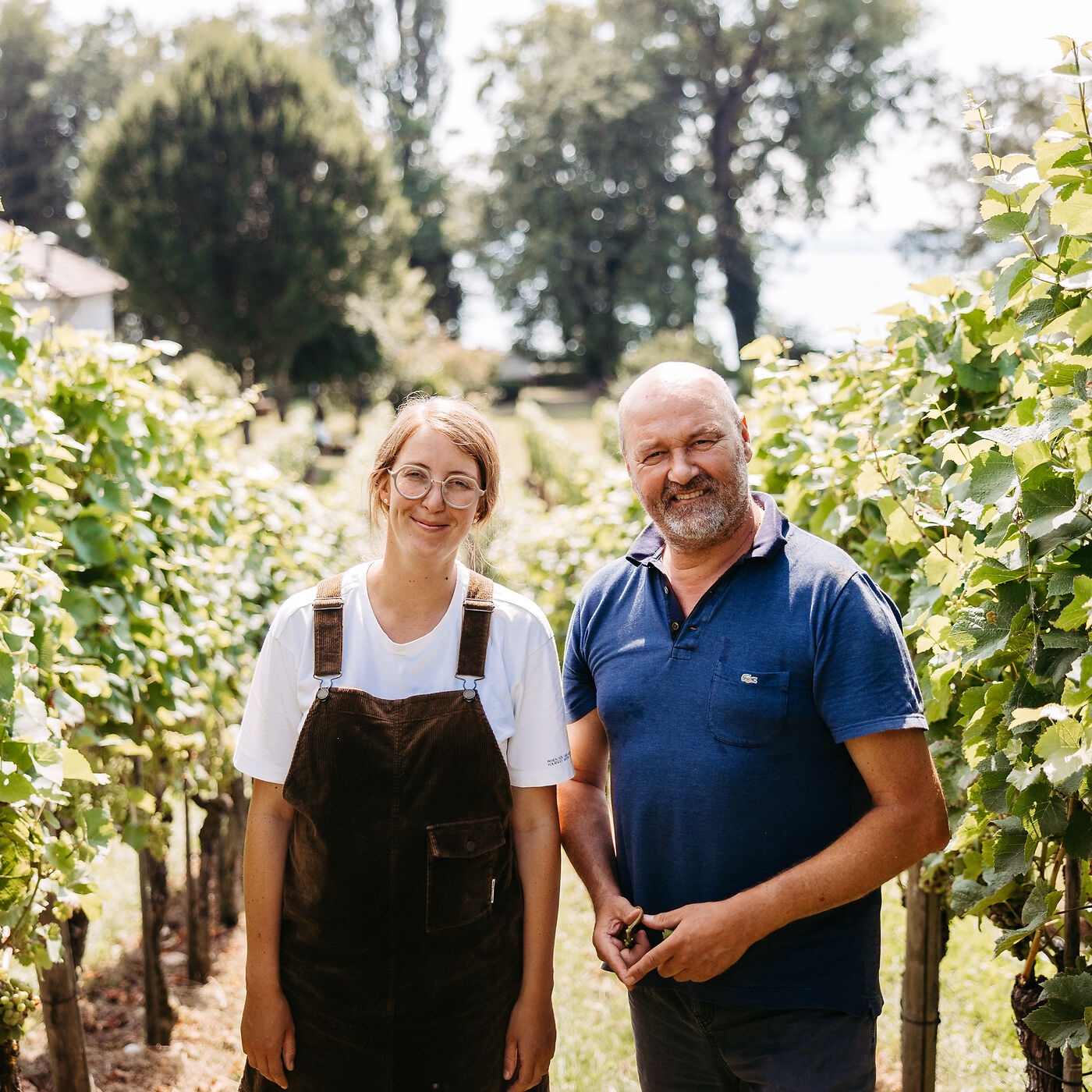 Wie der Müller-Thurgau an den Bodensee kam