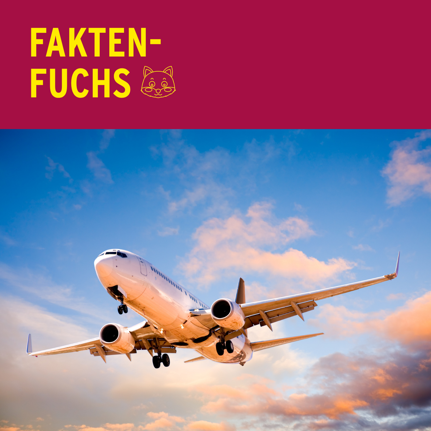 Faktenfuchs: Flugzeuge