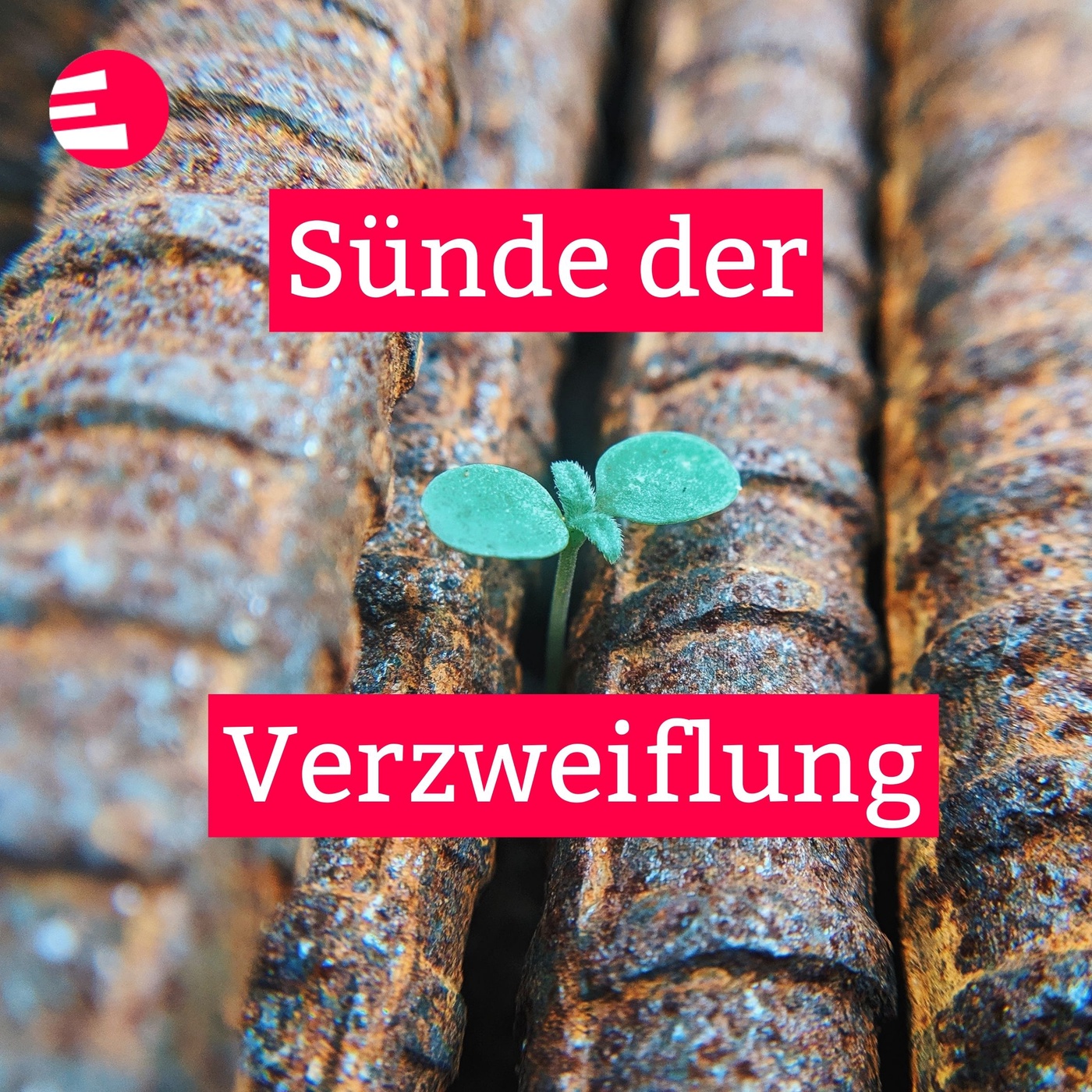 Suende der Verzweiflung