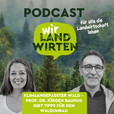 Klimaangepasster Wald: Prof. Dr. Jürgen Bauhus gibt Tipps für den Waldumbau